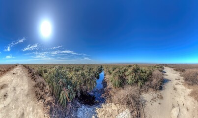 Panorama of a sunny, arid landscape