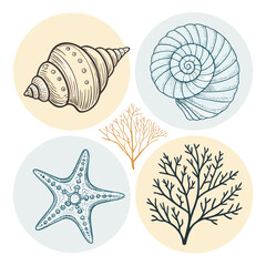 Seashell & Seaweed Illustrations: Nautical Design Elements for Artistic Projects