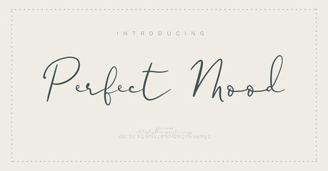 Signature Elegant Branding Typeface. Handwritten Script Editable Text Effect Template . vector illustration 

