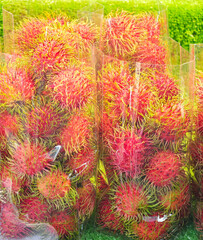 fresh rambutan in plastic bag