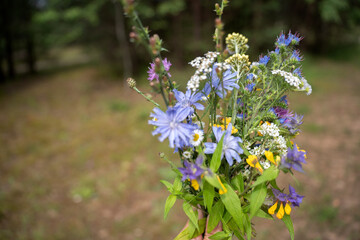 vibrant wildflower bouquet held against a blurred natural backdrop, featuring diverse blooms in purple, yellow, and white, with green foliage, capturing a serene outdoor ambiance, sunny, gathered