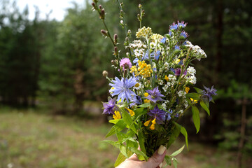 a vibrant bouquet of wildflowers set against a lush green forest, showcasing a variety of colors...