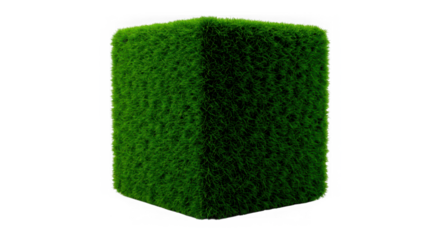 A perfectly manicured green hedge in a rectangular prism shape isolated on transparent background