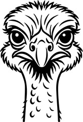 ostrich vector illustration, isolated on white