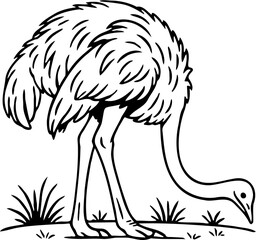 ostrich vector illustration, isolated on white
