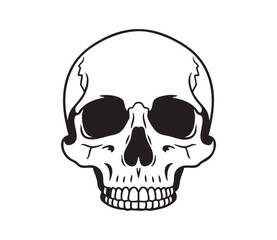 Black and white minimalist illustration of a human skull with empty eye sockets vector