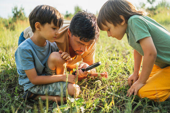 Father with children looking at grasses through magnifying glass in forest