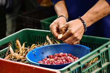 Hands peeling red beans at traditional Colombian market