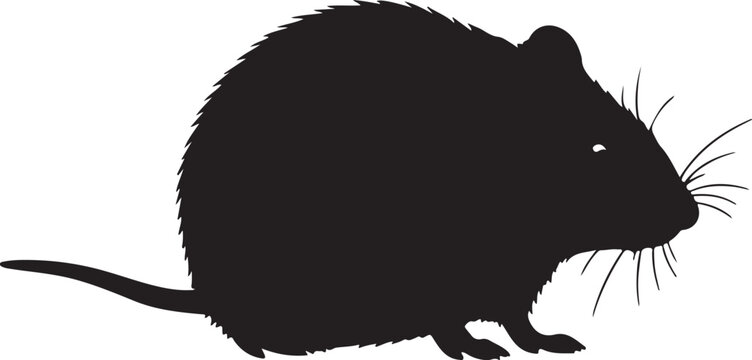 Liechtenstein's Pine Vole Vector Silhouette