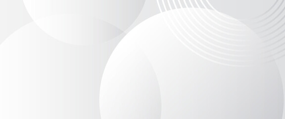 Abstract lines grey background with dynamic circle lines background abstract simple art.
