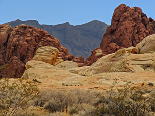 Fototapeta premium The different colours of the Valley of Fire, State Park, in Nevada, USA.