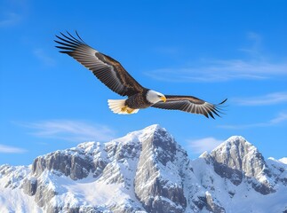 Majestic Bald Eagle Soaring Above Snowy Mountain Peaks