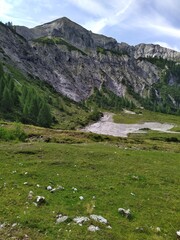 A stunning view of an Alpine mountain landscape taken on a clear summer day. The image features rugged gray rock slopes, a lush green meadow dotted with small rocks, and scattered coniferous trees. 
