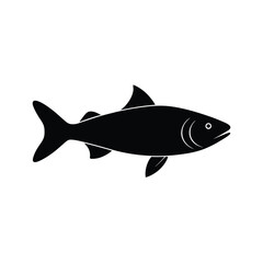 fish on a white background