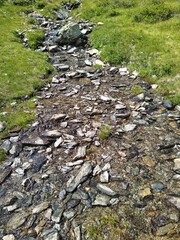 Crystal Clear Mountain Stream Flowing Over Rocks in Alpine Meadow Landscape