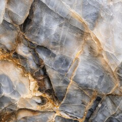 Close-up view of a stone surface with intricate veining in shades of gray, beige, and gold