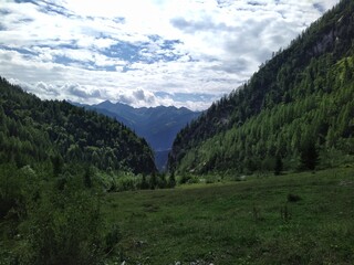 Obraz premium Lush Mountain Valley with Forested Slopes and Distant Peaks