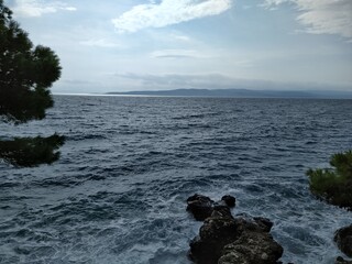 Rocky Coastline and Pine Trees Overlooking a Choppy Sea on a Cloudy Day