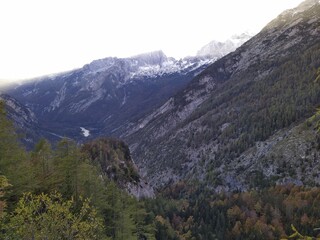 Scenic Alpine Valley with Pine Forests and Snowy Peaks