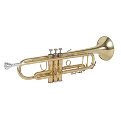 Obraz premium old brass trumpet