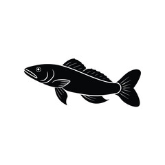 fish on a white background