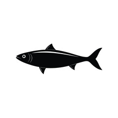 fish isolated on white background