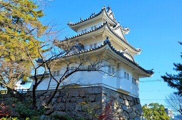 Fototapeta premium 津城 丑寅櫓