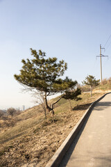 A winding paved path runs alongside a hillside with sparse trees and power lines under a clear sky.
