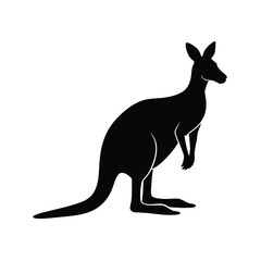 kangaroo vector illustration