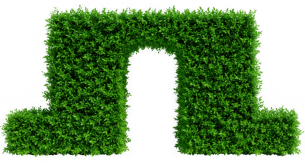 Green Moss Wall Texture Background

