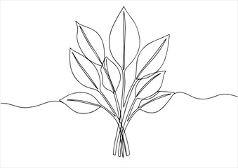 botanical one line art, continuous, vector illustration, isolated on white background