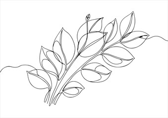 botanical one line art, continuous, vector illustration, isolated on white background