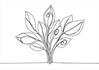 botanical one line art, continuous, vector illustration, isolated on white background