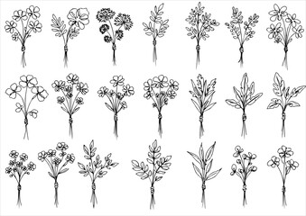 botanical one line art, continuous, vector illustration, isolated on white background