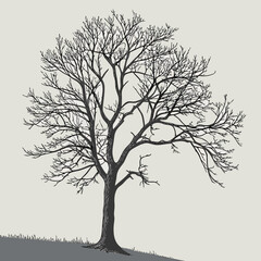 A stark, bare tree silhouette vector with visible roots stands against a winter sky, embodying the 