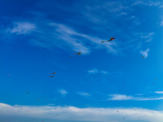 Colourful kites flying over harvested paddy fields in Sekinchan, Selangor, Malaysia.