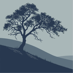 Isolated winter tree in a snowy landscape with bare branches against a white sky