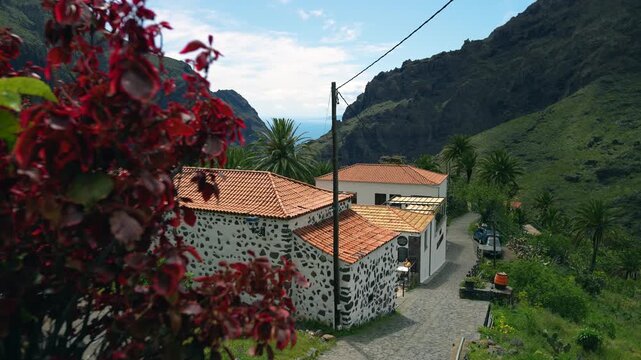 Empty street in Masca village, Tenerife, surrounded by green mountains and palm trees, traditional white houses with red tiled roofs, daylight scenic view