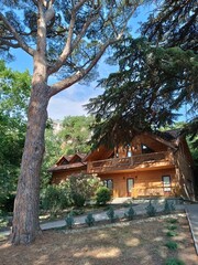 Beautiful wooden house in a picturesque forest place