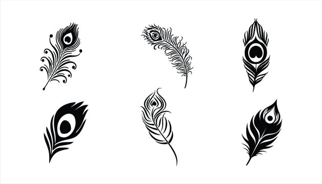 Fototapeta peacock feather vector set on white background, peacock feather silhouette vector icon set.