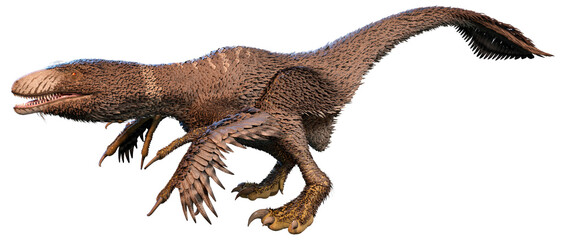 Fototapeta premium 3D Rendering Dinosur Dakotaraptor on White