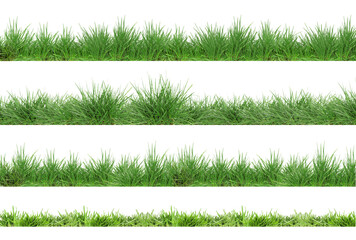 Fresh lush green grass isolated on white, set