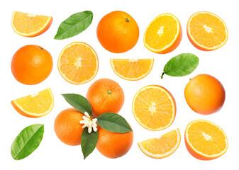 Fresh oranges, green leaves and blossoms isolated on white, set