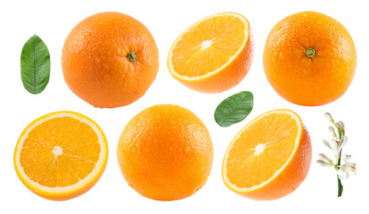 Fresh oranges, green leaves and blossoms isolated on white, set