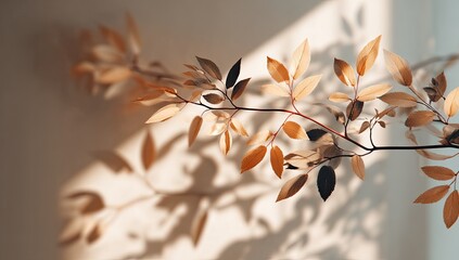 Sunlight on autumn leaves