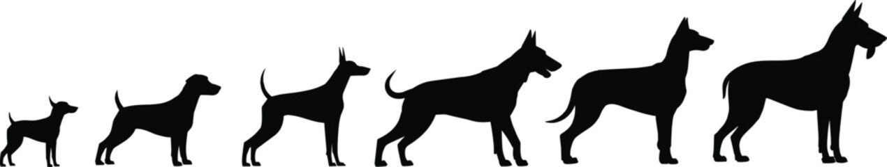 Dog silhouette evolution, puppy to adult stages, canine growth timeline, pet development vector, domestic dog black outline, life cycle animal shape clipart