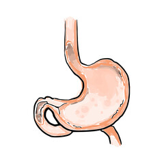 Gastroenterologist icon.
