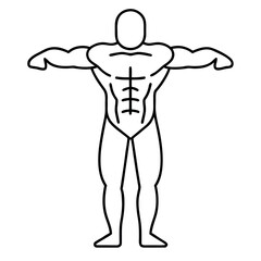 Muscle Symmetry Outline Icon Bodybuilding Silhouette for Fitness and Strength Design