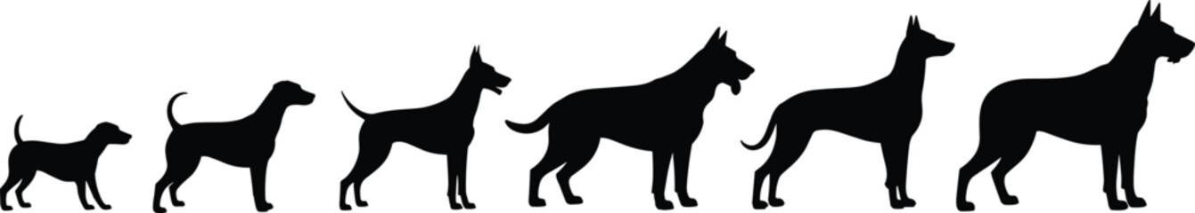 Dog growth silhouette, puppy to adult dog evolution, pet development stages, black dog outline, animal life cycle vector, domestic canine shape clipart