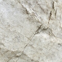 Fototapeta premium Close-up of a light gray stone surface with intricate patterns and lines